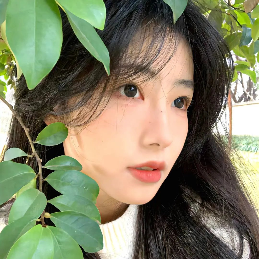 圣诞树复仇记